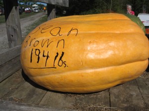194 lb. Pumpkin